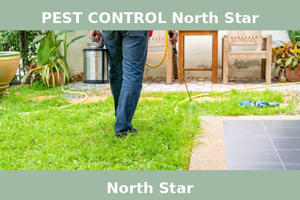 PEST CONTROL North Star